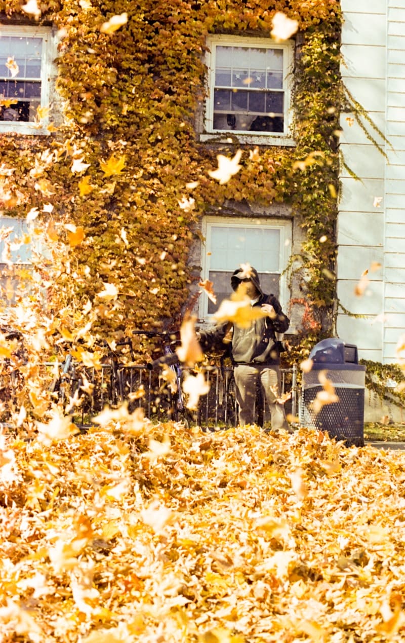A pile of bagged leaves at the edge of a tidy yard after a fall cleanup.