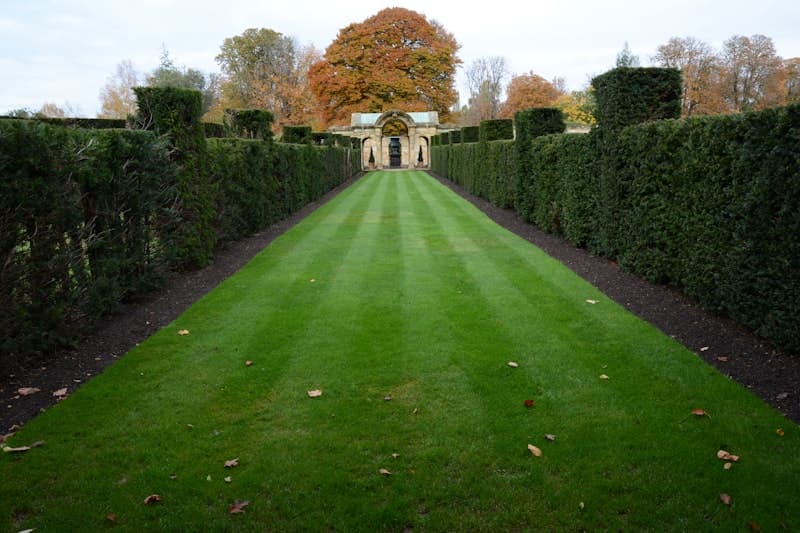 Cleanly mowed lawn with crisp edge work along a driveway.