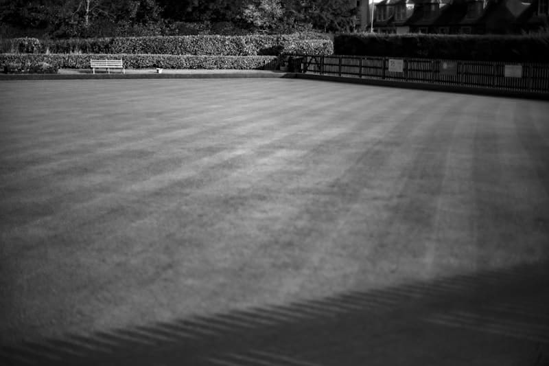 Healthy green turf with deep color, recently fertilized.